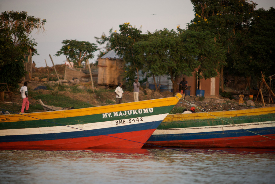 boats